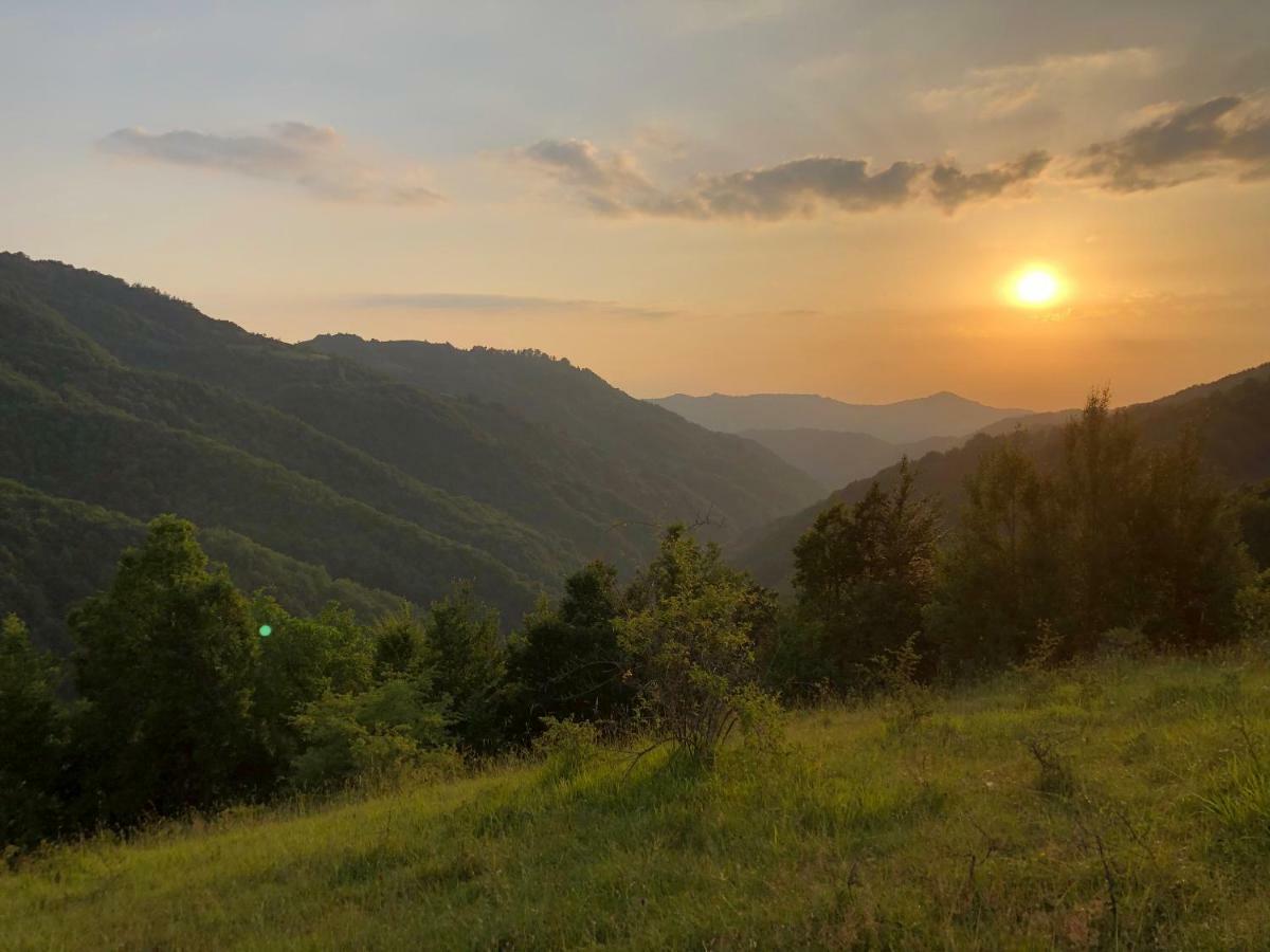 Vila Idila Crni Vrh Zewnętrze zdjęcie